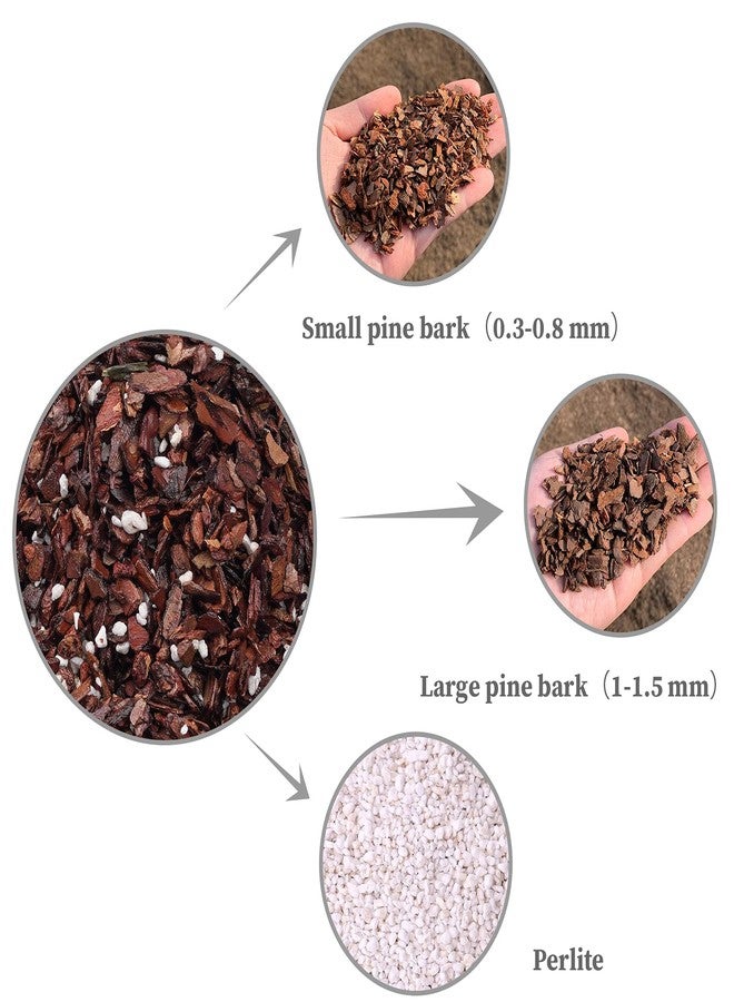 Doter Orchid Potting Mix Orchid Bark, Mix Pine Bark and Perlite, Good Drainage and Water Retention (2 Quart) - Image 3